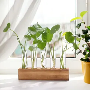 Water Propagation Rack, Glass Plant Culture Bottle with Wooden Base, Desktop Vase for Cuttings, Unique Gardening Gift for Plant Lovers