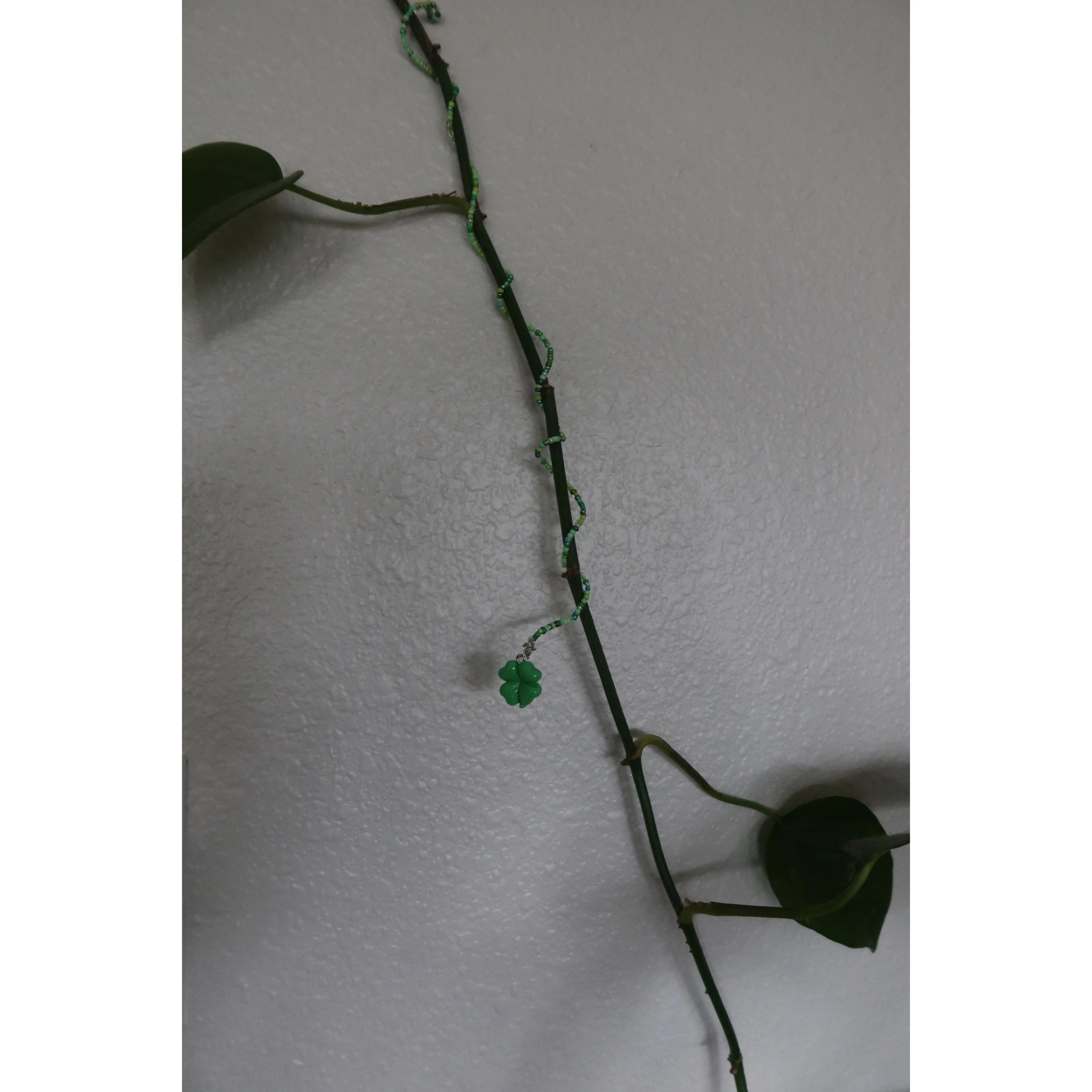 Lucky Clover Plant Wrap