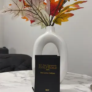 Black Holy Bible New Testament