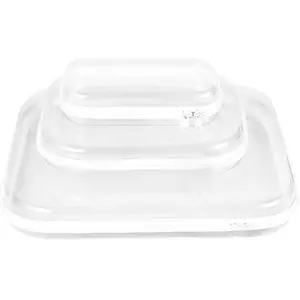 Hard Sided Clear Zipper Case for Storage- Professional-Grade Plastic Clear Zipper Pencil Case,Toy Storage Bins, Toiletry Pouch, Travel Organizer, Cosmetic Bag（White,3 Pack, LMS）