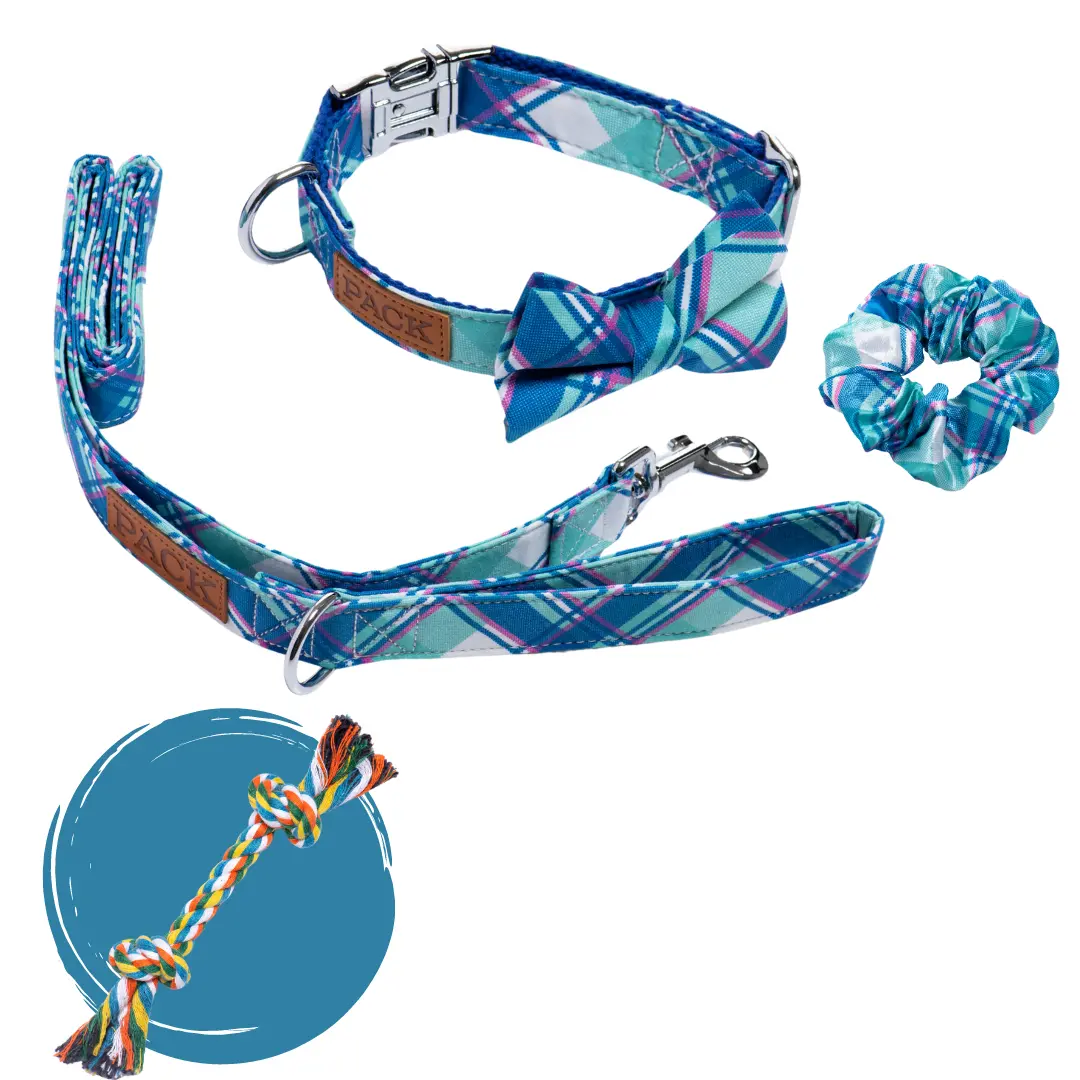 Matching: Bowtie Collar + Leash + Rope Toy + Scrunchie