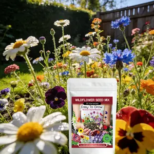 Wildflower Seed Mix 2Packs 35 Varieties 20000+Pcs wildflower seed bulk, Annual & Perennial Flowers for Pollinator Garden