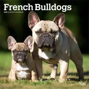 French Bulldogs | 2026 12 x 24 Inch (Hanging) Monthly Square Wall Calendar | Plastic-Free | BrownTrout | Animals Dog Breeds