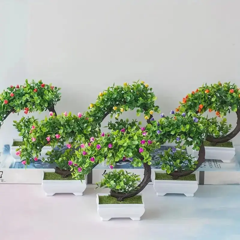 small bonsai tree