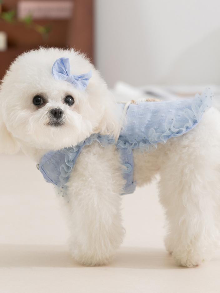 Pet Clothes Dog Cat Princess Mesh Dress sleeveless Cute Breathable With Bowknot Clip & Little Bag D00040