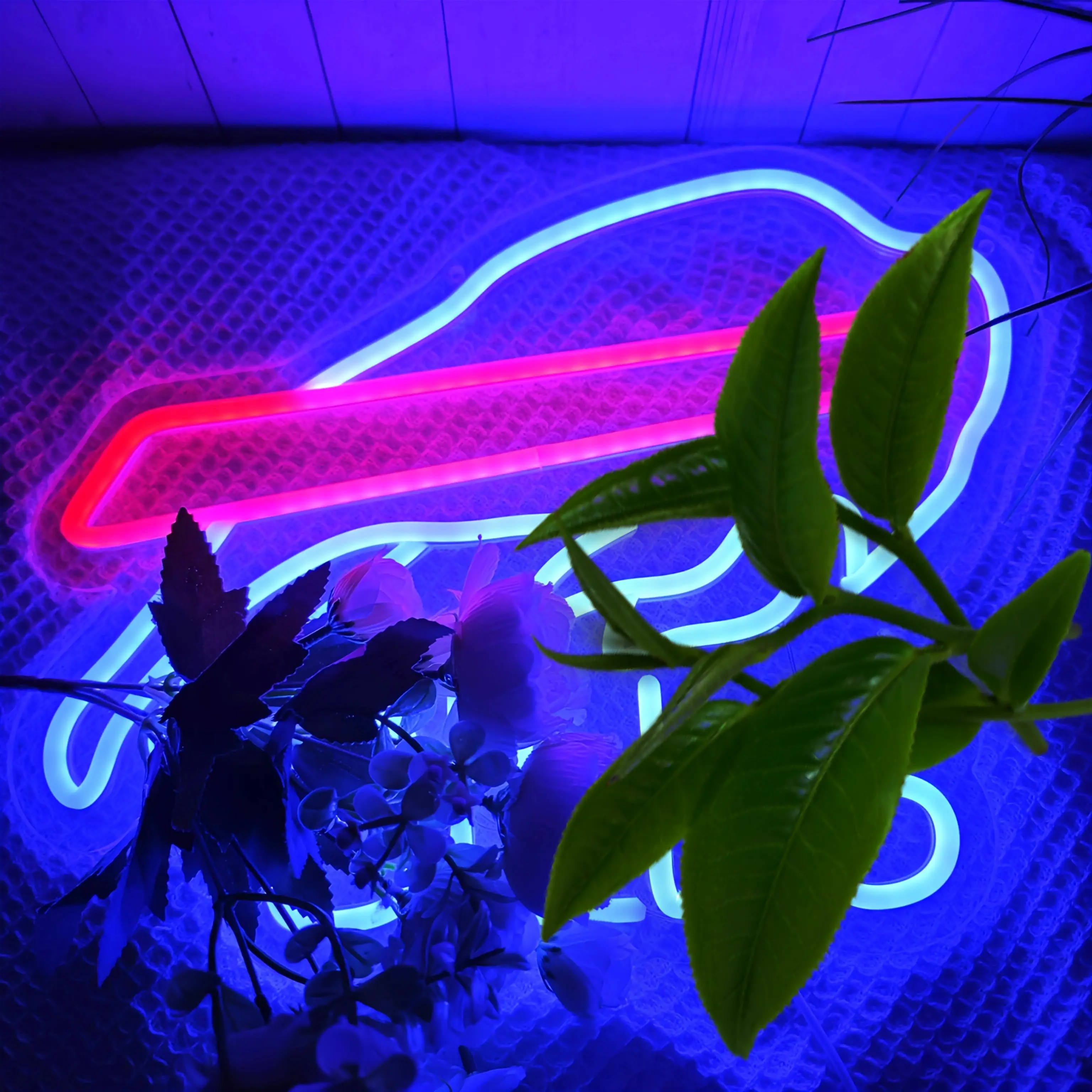 Neon Buffalo Cutout Specialty & Decorative Light - Home Decor Lighting, Man Cave Decor, Bar Light for Beer Pub, Christmas/Birthday Party Gift