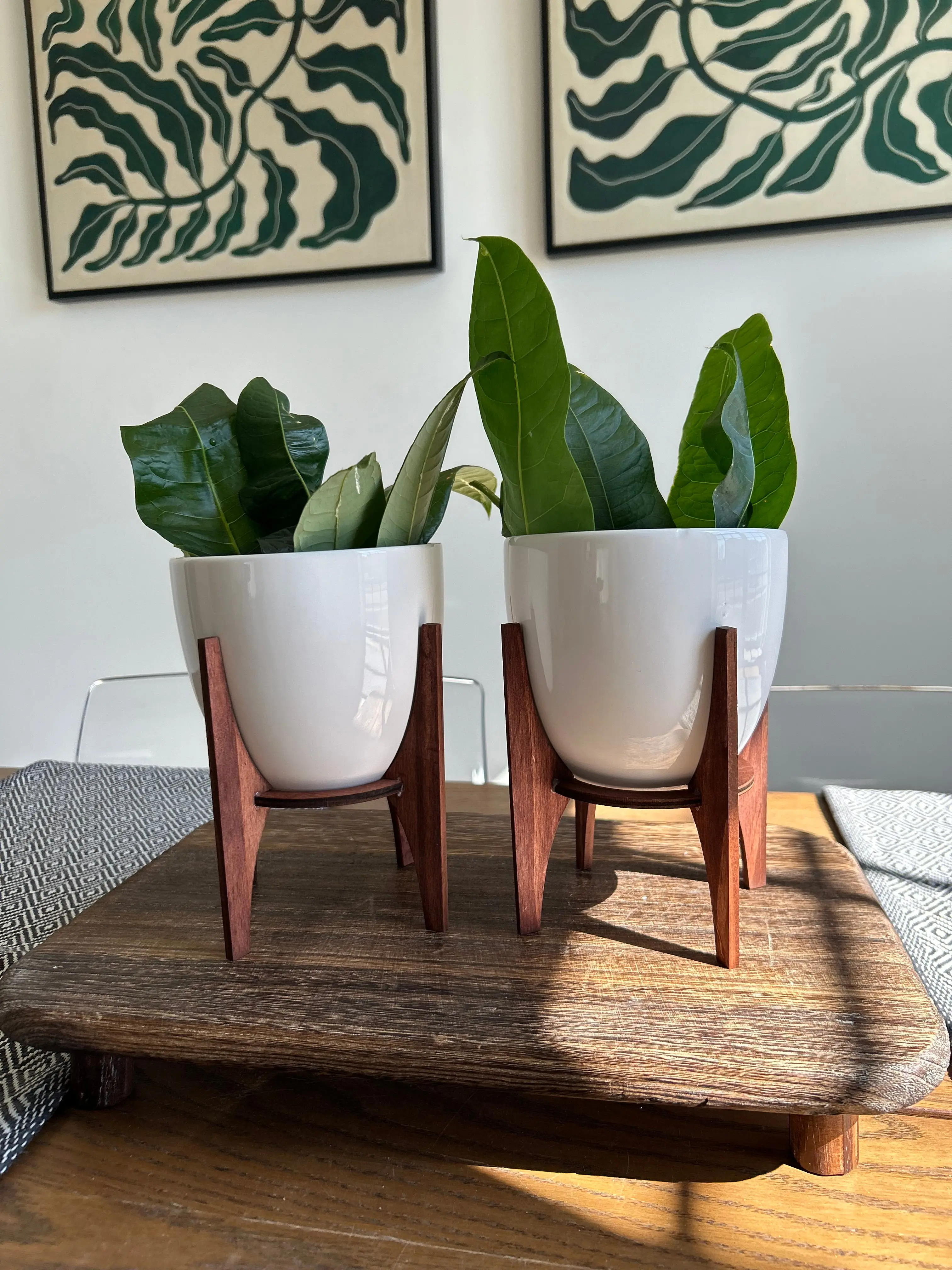 Modern White Ceramic and Canvas Wood Table Planters