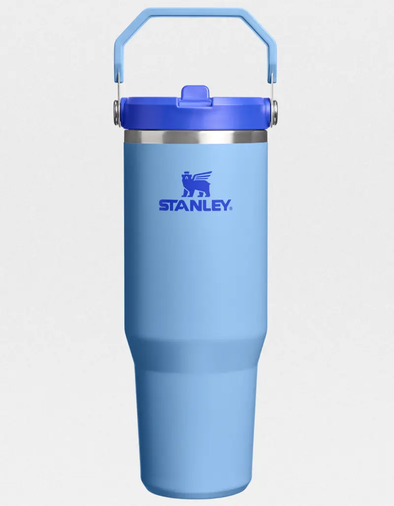 STANLEY 30 oz The IceFlow Flip Straw Tumbler