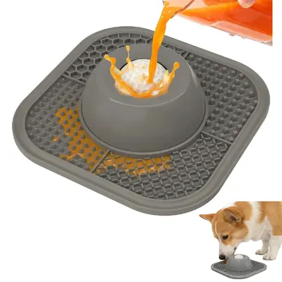 Dog Licking Bowls