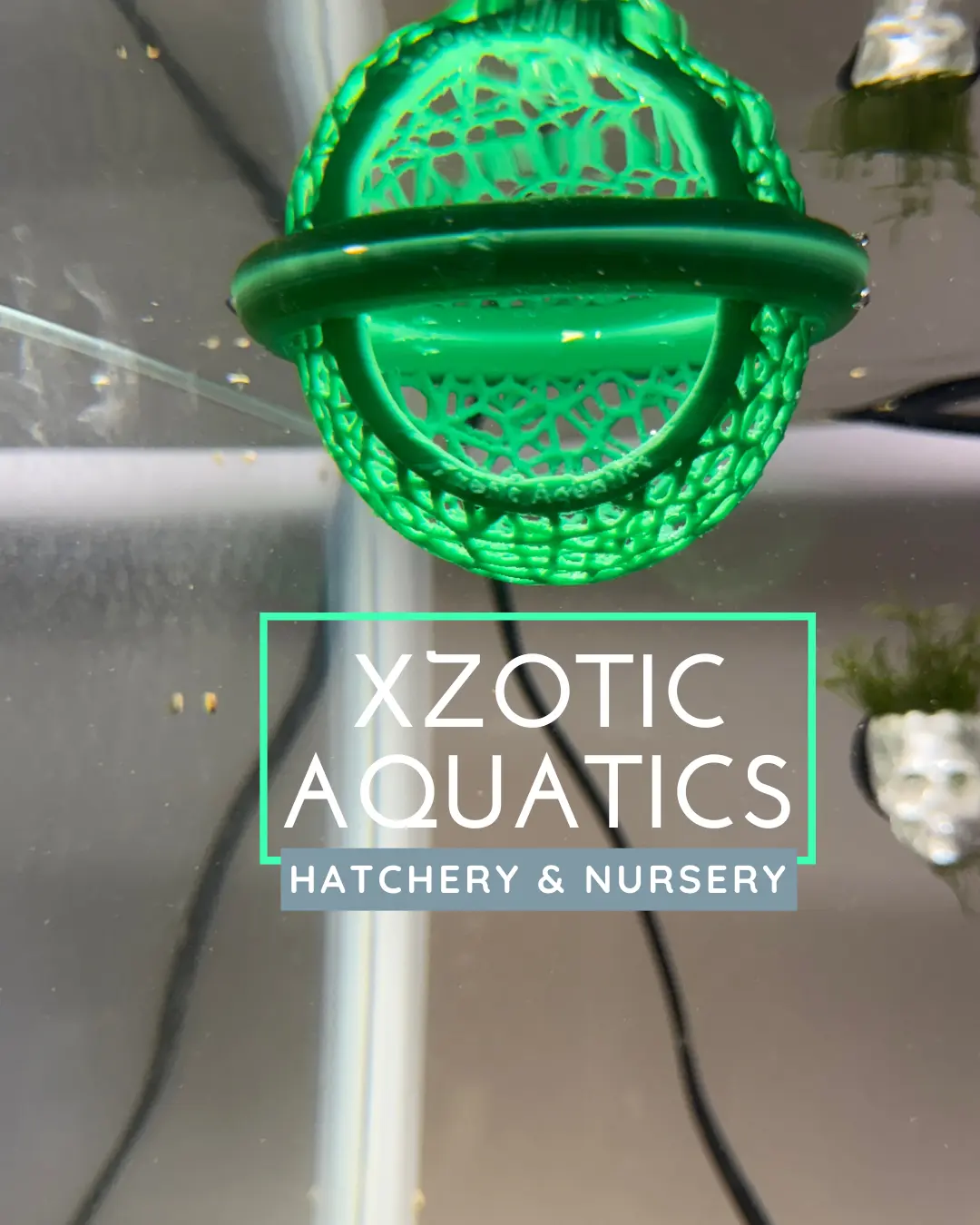 Neon Green Floating Mesh Dome Hide – 3D Printed Aquarium Cave Shelter for Fish