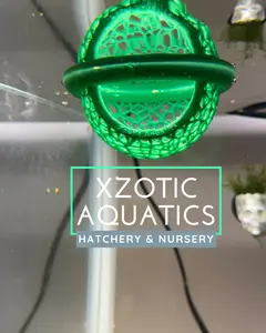 Neon Green Floating Mesh Dome Hide – 3D Printed Aquarium Cave Shelter for Fish