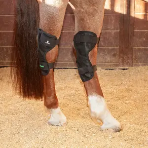 Classic Equine MagNTX Hock Wrap - Therapeutic Magnetic Horse Wrap with 1 1/2" Bi-Polar Magnets