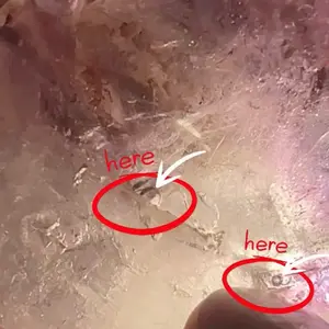 Amethyst Enhydra Quartz Natural Palm Stone High Quality With Multiple Pockets Weighing 160 Grams for Healing and Meditation