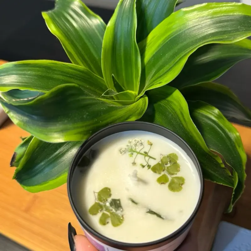 Calming Eucalyptus candle Calming Eucalyptus candle