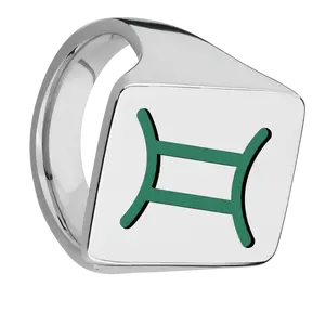 Extra Large Rectangle signet ring (24x17mm) in Titanium, with a Thin style band and a GEMINI engraving.
