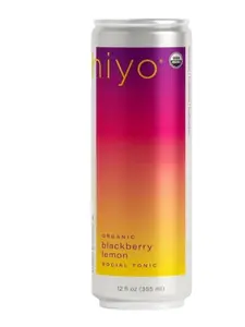 Hiyo Organic Social Tonic - Blackberry Lemon, 12 FZ - N.A. Functional Seltzer, Sparkling Water Crafted with Organic Adaptogens, Nootropics & Botanicals