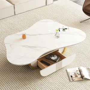 Modern Oval Butterfly Coffee Table - Sintered Stone Top, Stainless Steel Frame, 110mm MDF Cabinet with Storage Shelf and Drawer, Minimalist Home Decor Indoor Center Table