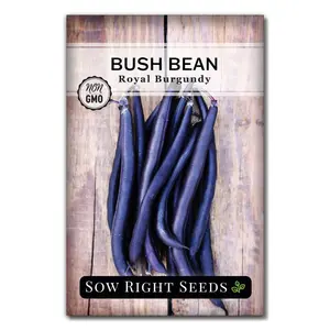 Royal Burgundy Bush Bean Seeds