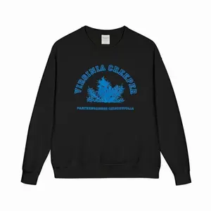 Raf Virginia Creeper Crewneck, Vintage Pullover Sweatshirt, Retro Streetwear Sweater, Unisex Casual Gift Apparel 4