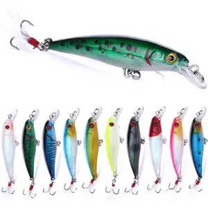 Jerkbait Fishing Lures, Top Water Bass Fishing Lures - 10 count with Box