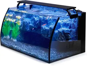 8 Gallon Curved Glass Aquarium Starter Kit – LED Light, Filter & 3D Rockery Background