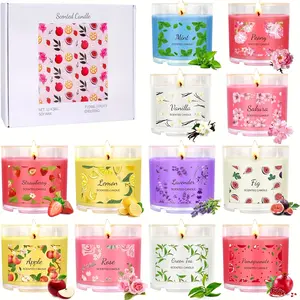 12-Piece Aroma Scented Candles Set, 2.5oz Round Shape Wax Core with Unique Scents Including Vanilla, Mini Gifts for Coworkers & Home Decoration (Autumn, Christmas)