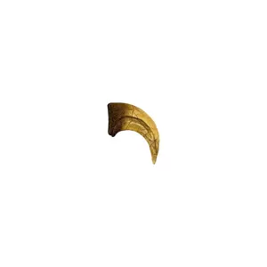 Velociraptor Claw Replica - Cretaceous Dinosaur
