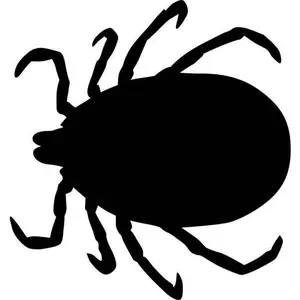 Tick Stencil