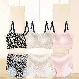 Soft Support Seamless Leopard Print Bra Set, Wire-Free, Comfortable, Shaping, Abdomen Control, Anti-Sagging, Sexy Bra