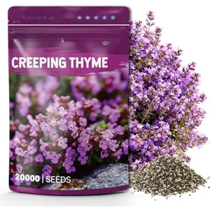 20000+ Creeping Thyme Seeds for Planting, Non-GMO Ground Cover Seeds, Fragrant Lawn Alternative for Garden, Paths & Landscaping (10g / 0.35 oz)