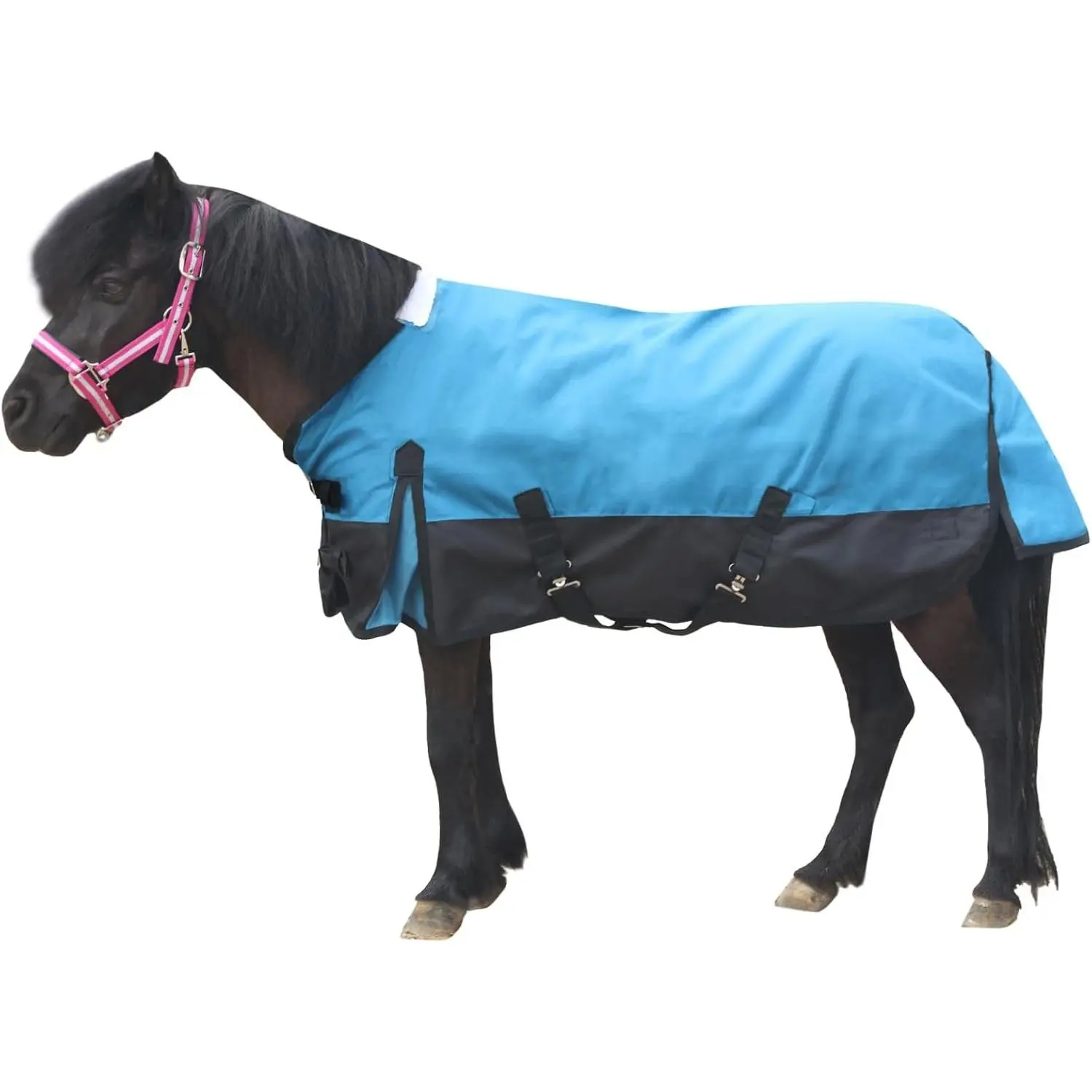 1200D Mini Horse/Pony Blanket 0g No-Fill Waterproof Turnout Sheet | 1200D Ripstop Outer, Waterproof Breathable Shell, Smooth Lining, Keep Dry in Rain/Mud, Fits Foals/Weanlings/Yearlings/Donkeys