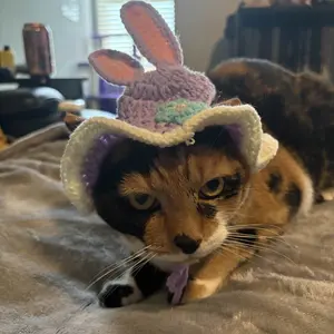 Cute Style Pet Costume Hat, 1 Count Handmade Knitted Pet Hat, Pet Costume Accessories for Small Dogs, Cats & Kitten, Pet Decorative Accessories