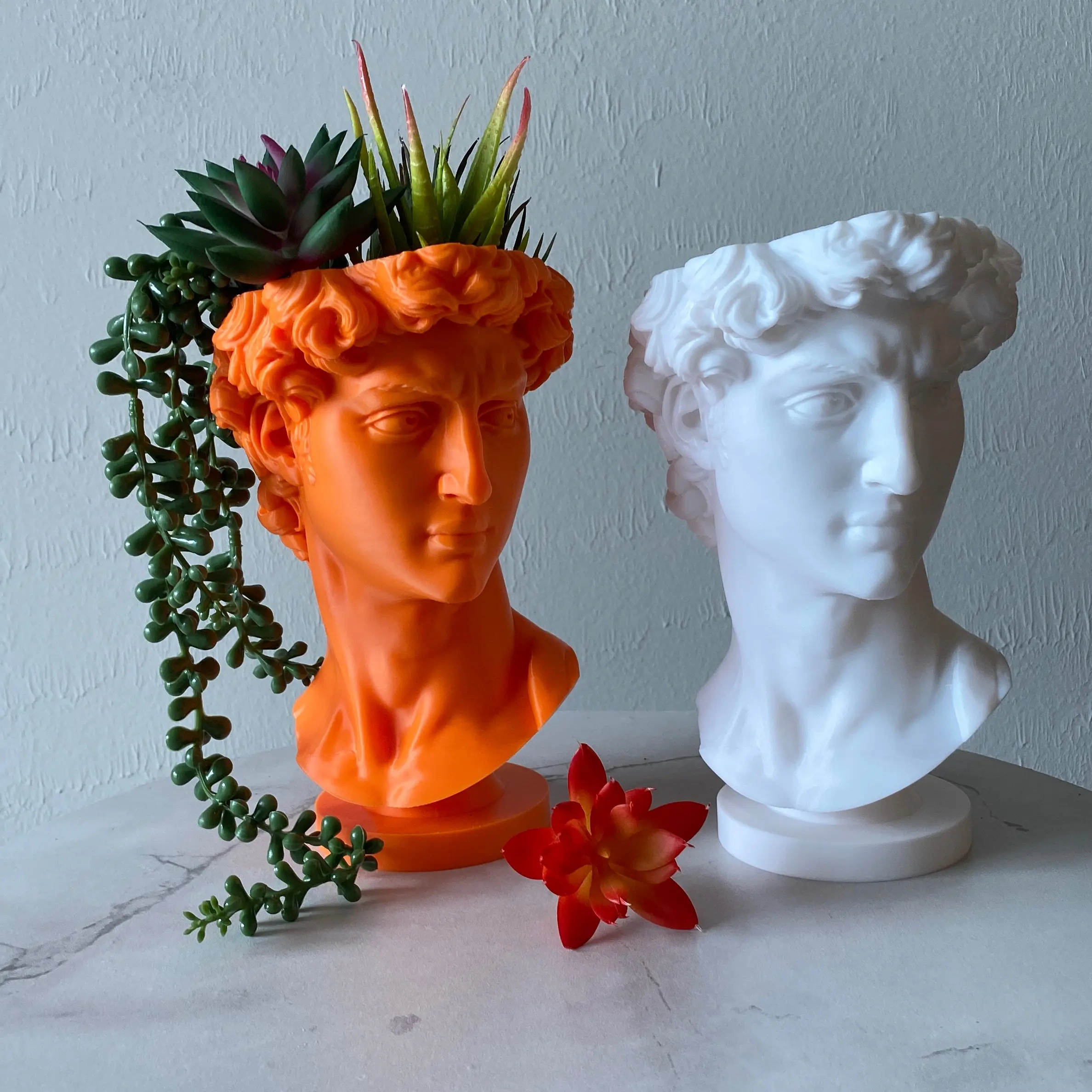 Plant pots indoor. David pot. - TikTok Shop