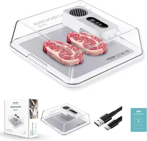 2026NEW Defrosting Tray for Frozen Meat,Type-C Rechargeable Meat Defrosting Box with Lid, Aluminum Defrosting Tray BBQ, Airflow Technology, Non Stick Easy to Clean, Great Kitchen Essentials