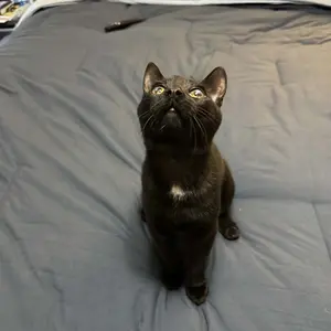 Mellow Sleep | Temperature Control Comforter - This comforter is made from two comforters zipped together: a lighter one for hot sleepers and a heavier one for extra warmth. Zip or unzip to sleep at your ideal temperature.