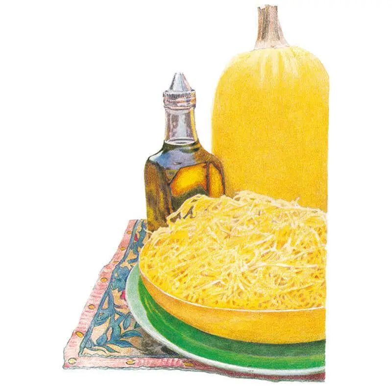 Spaghetti Squash Vegetable Home Planting Seeds - Low Calorie, Yields 5-7, Outdoor Garden Accessories for Home Improvement