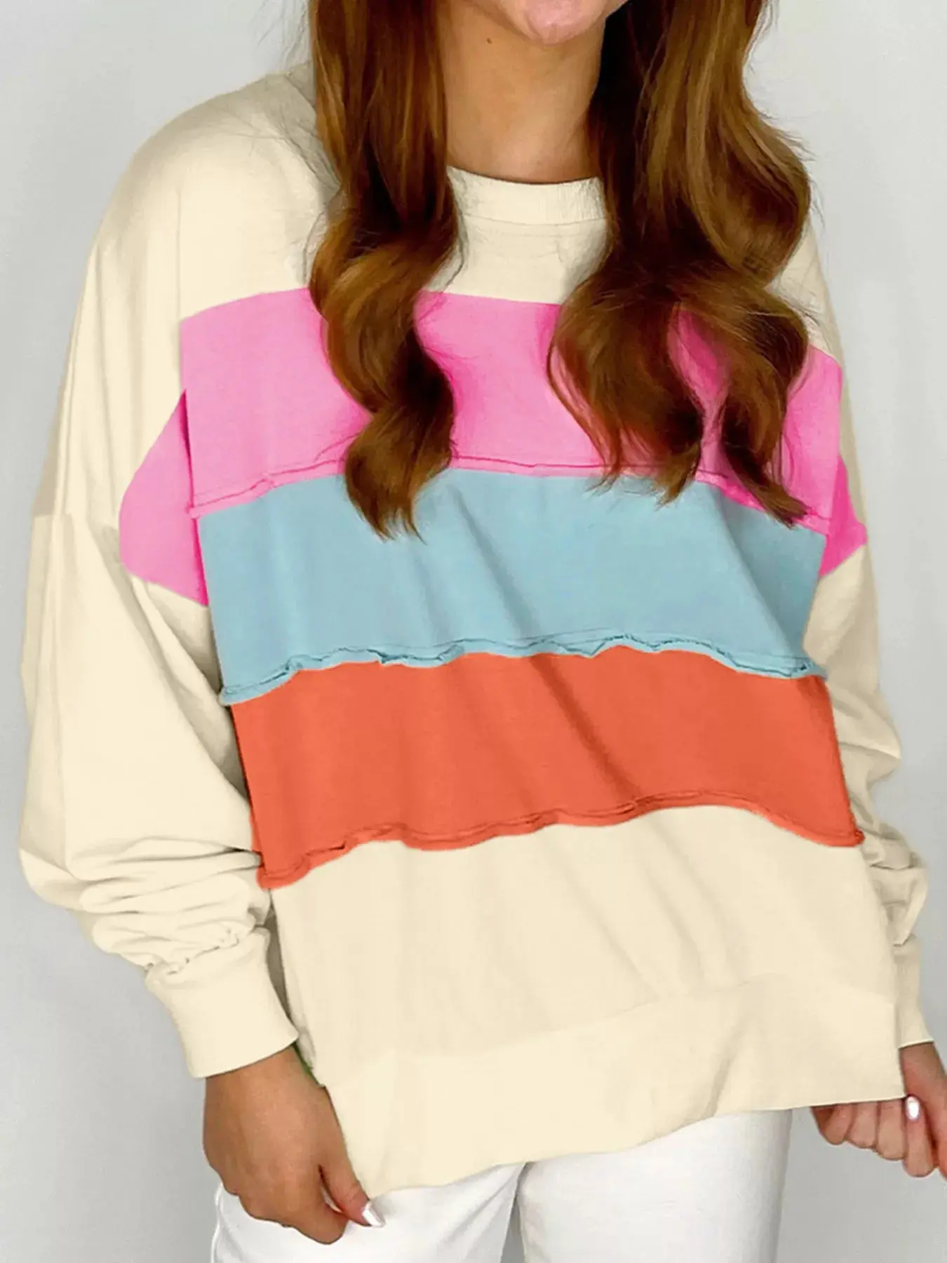 Colorblock Patchwork Crewneck Drop Shoulder Sweatshirt