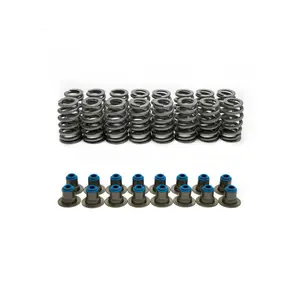 BTR GM LS Truck .560" Lift LS6 Beehive Valve Springs & Hat Seal Kit