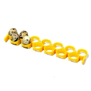 Quail Egg Rack - Attaches to Conturn Egg Setter Quail Egg Rack - Attaches to Conturn Egg Setter