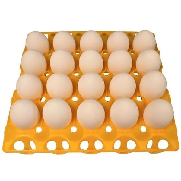 Rite Farm Products 20 Egg Capacity Duck, Goose, Turkey, & Peafowl Size Trays