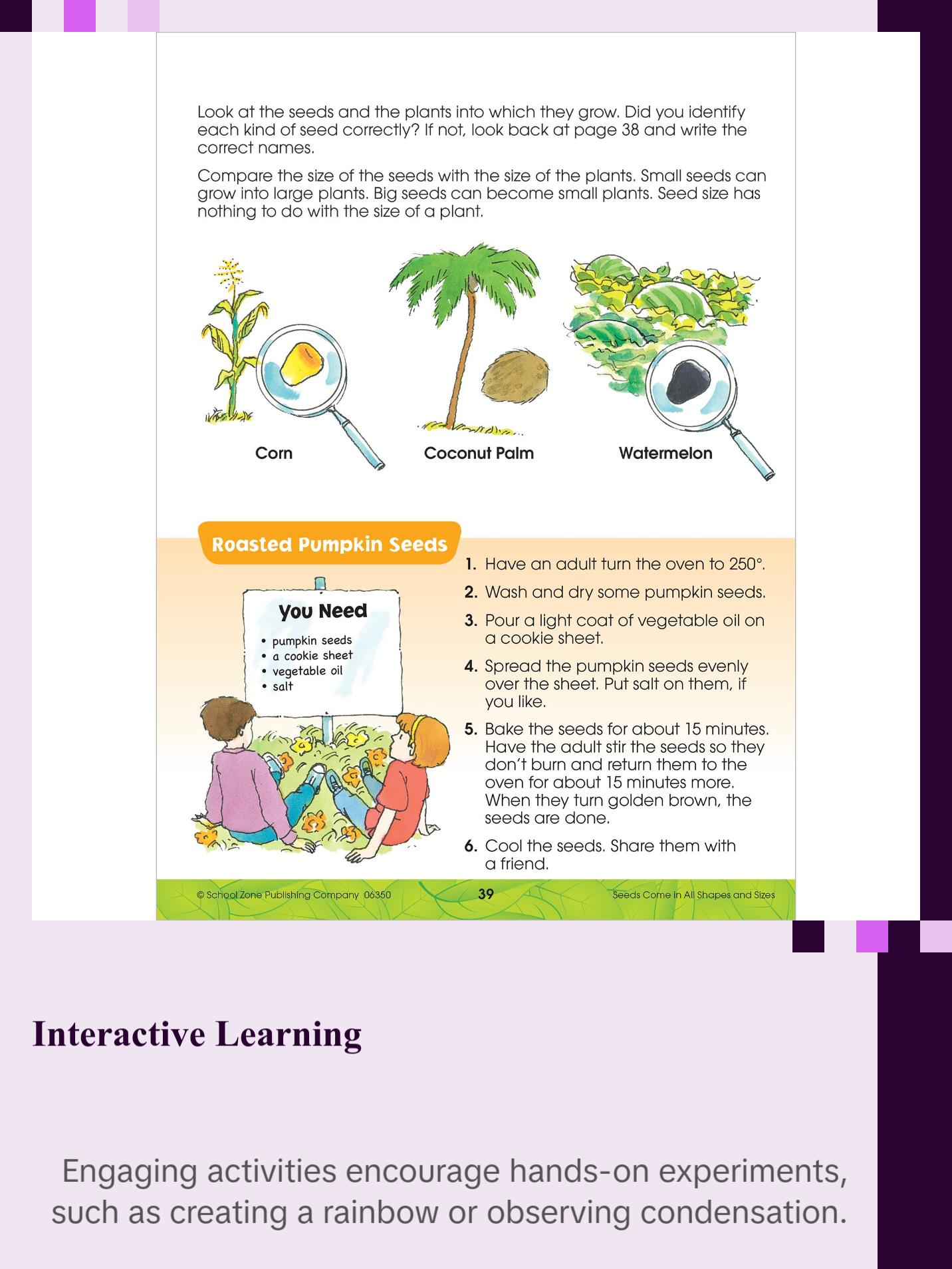 Big Science Grades 2-3 Workbook