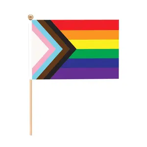 6" x 4" Small Polyester Pride Flags on Wood Stick - 12 Pc.