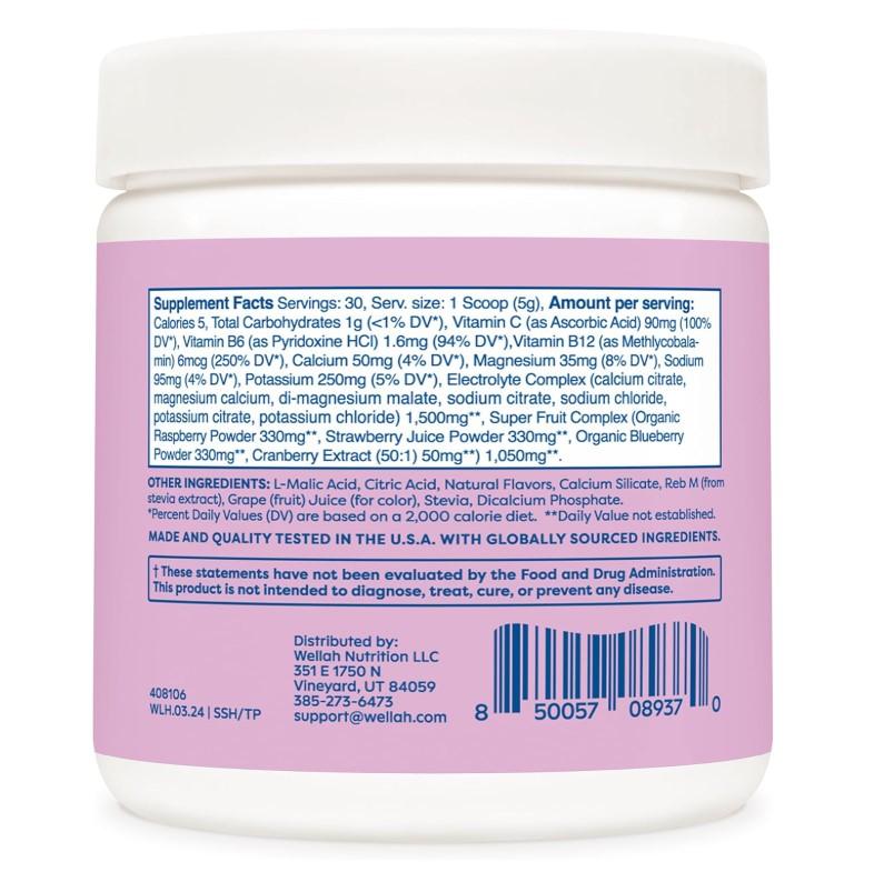 Splish Splash Hydration Electrolyte Drink Mix (Blueberry Pomegranate Flavored, 30 Servings)