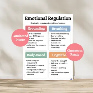 Emotional Regulation Laminated Poster | Social Emotional Learning Anchor Chart | Guidance Counselor Office Decor