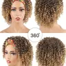 Short Afro Synthetic Curly Headband Wigs for Women, Deep Curly Wigs with Headband, 2 in 1 Afro Kinky Curly Wigs with Turban Scarf T4/27