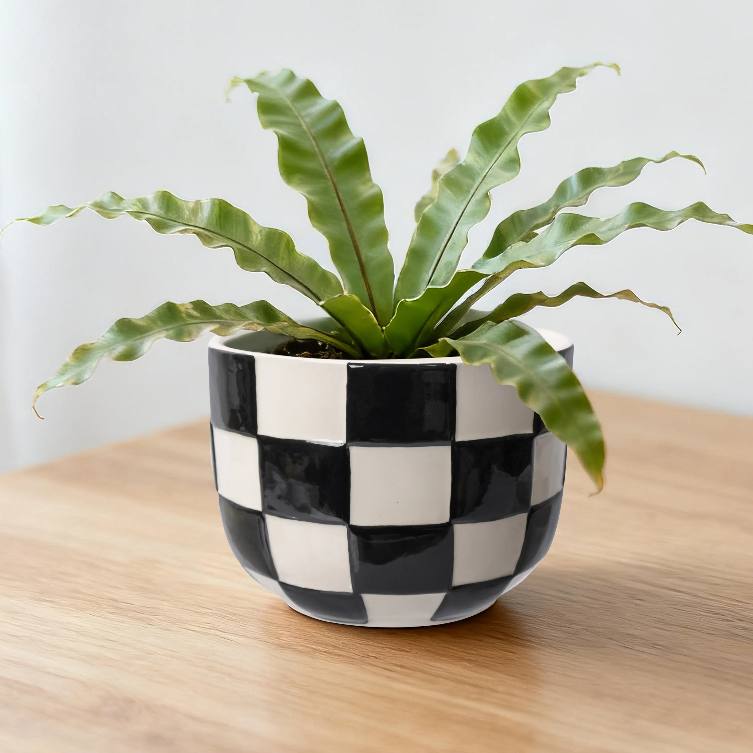 Lennon 6" x 6" x 4.5" Round Black Checkered Ceramic Planter