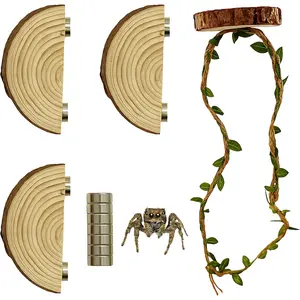 Enclosure Accessories Kit for Jumping Spider Habitat Decor with 3 Wood Ledges & 1 Climbing Rope
