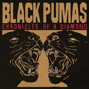Black Pumas - Chronicles of a Diamond | Signed Vinyl