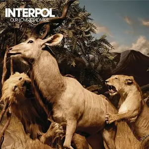 Interpol - Our Love To Admire  [COMPACT DISC - CD]