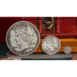 Mini Peace Dollar (Pack of 5 coins) by N2G